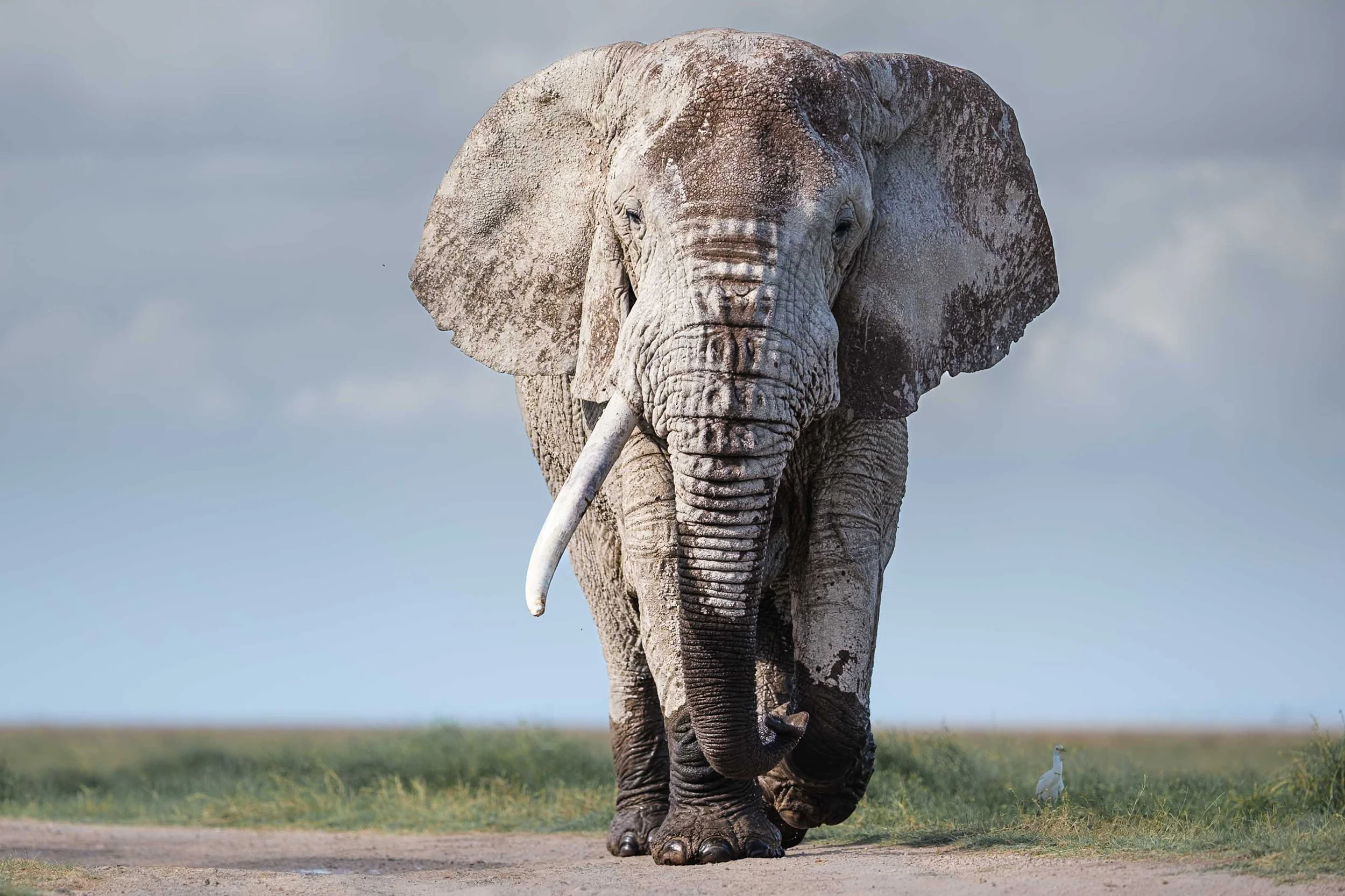 Tarangire National Park